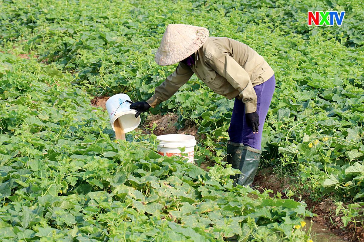 Hiệu quả lớn từ những mô hình nhỏ