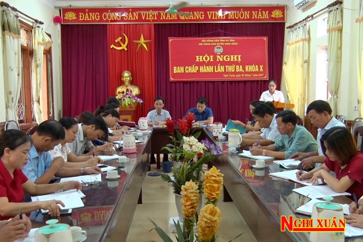 Nông dân Nghi Xuân thi đua sản xuất, giúp nhau phát triển kinh tế