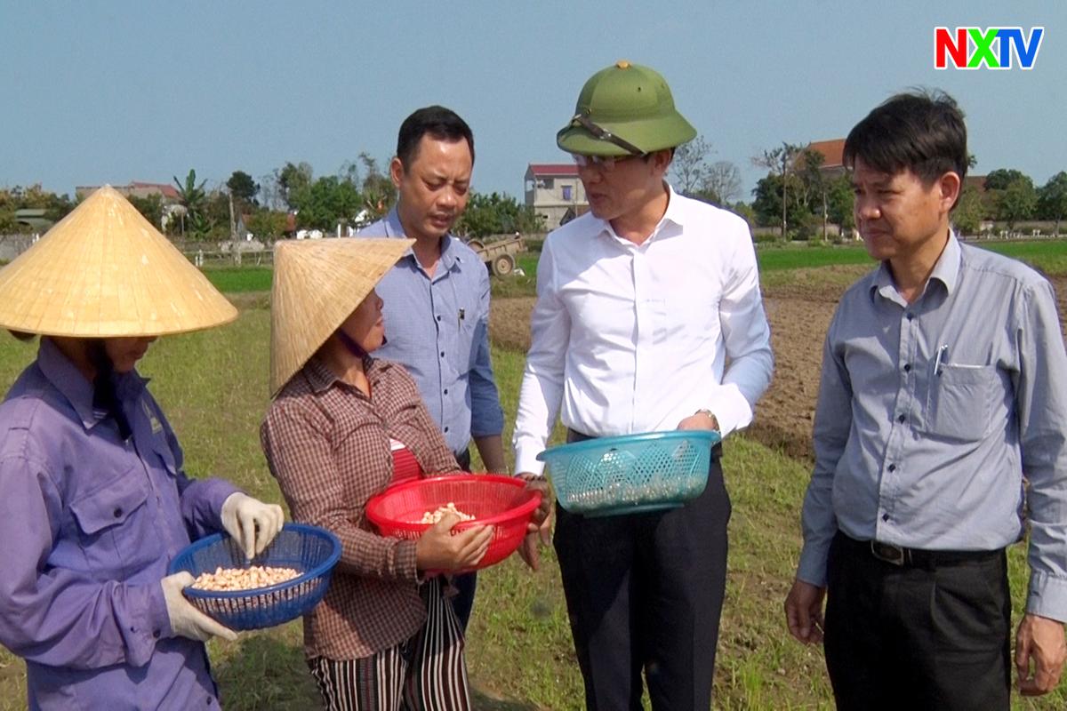 Lãnh đạo huyện kiểm tra tình hình sản xuất ở các địa phương