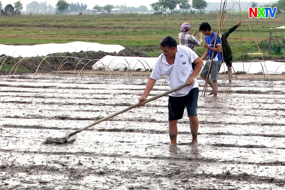 Nghi Xuân tập trung triển khai sản xuất vụ Xuân