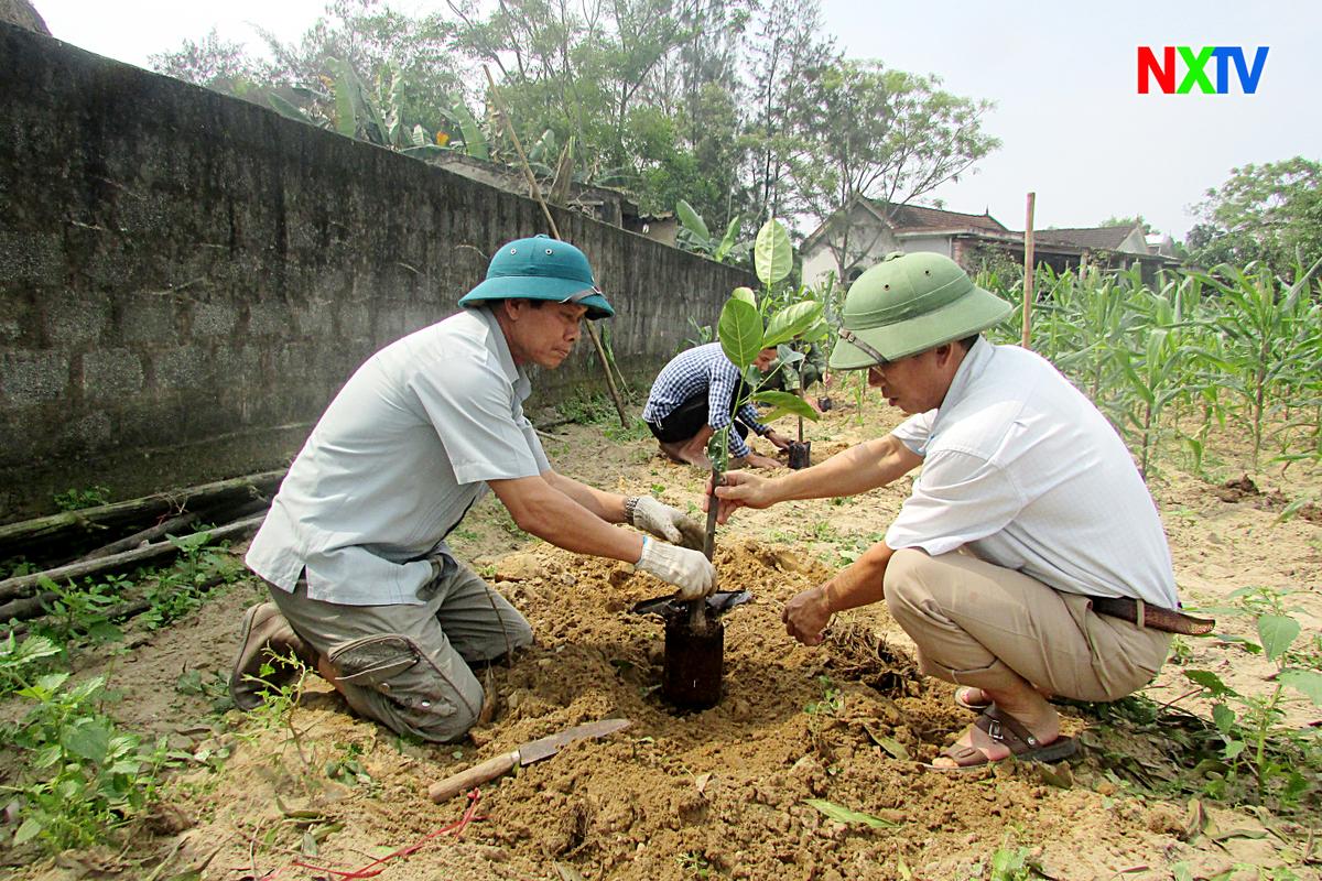 Trong 3 tháng, Xuân Mỹ vận động nhân dân xây dựng 20 vườn mẫu