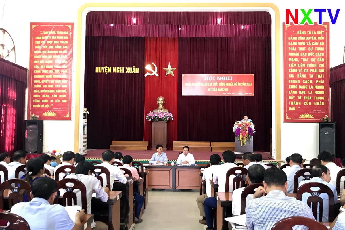 Nghi Xuân triển khai kế hoạch sản xuất vụ Xuân 2019