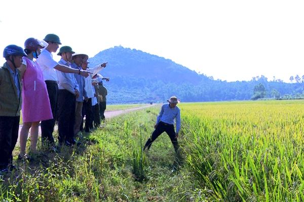 Chủ tịch UBND huyện kiểm tra tình hình sản xuất trên địa bàn