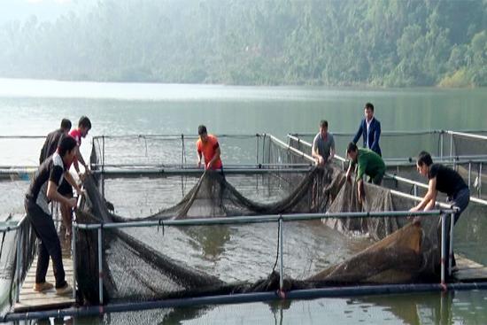 Hội thảo mô hình nuôi thương phẩm các loại cá đặc sản bằng công nghệ lồng nhựa HDPE