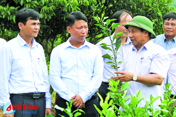 Xây dựng phong cách làm việc dân chủ - quần chúng theo phong cách Hồ Chí Minh