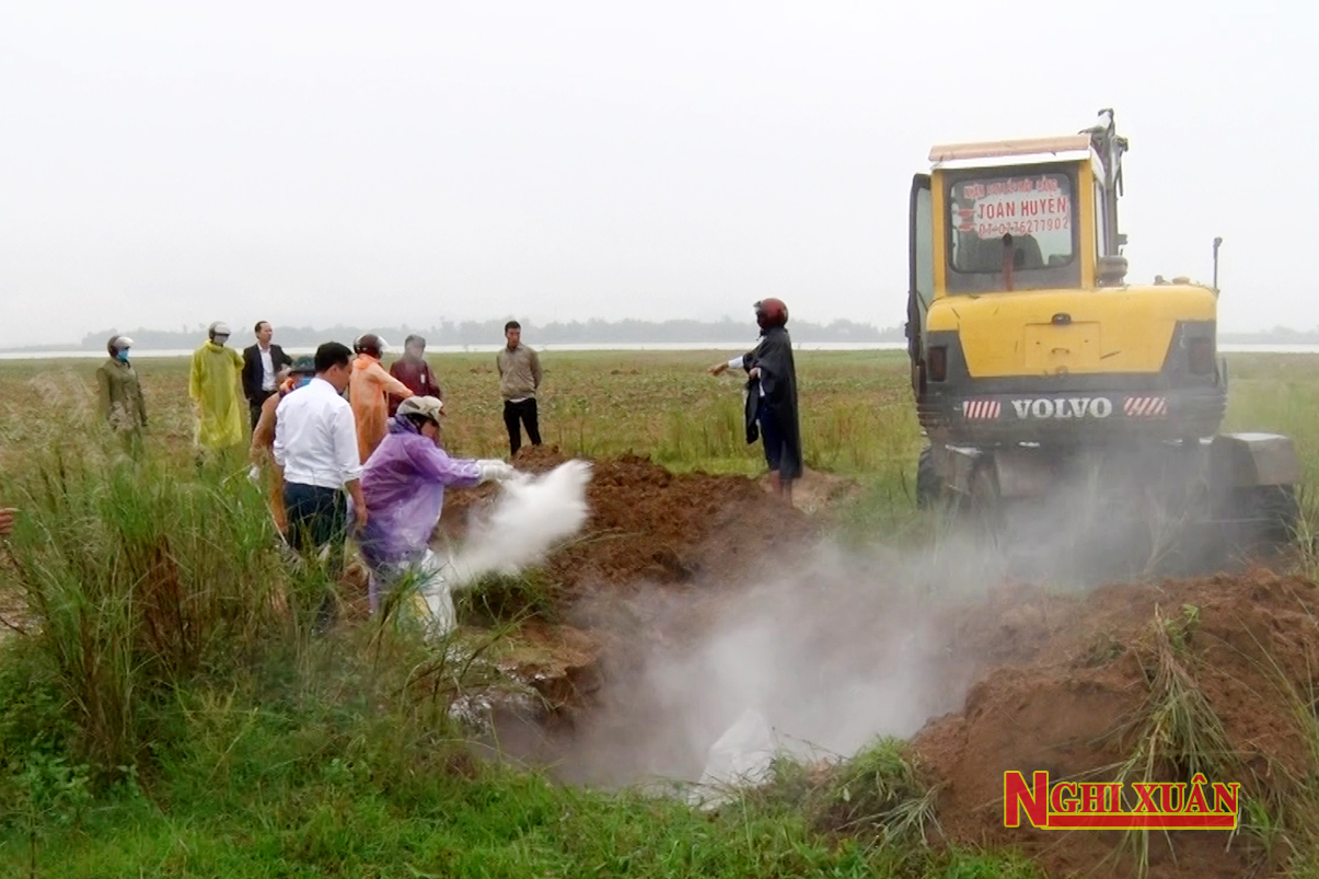 Phát hiện ổ dịch tả lợn châu Phi đầu tiên tại Nghi Xuân