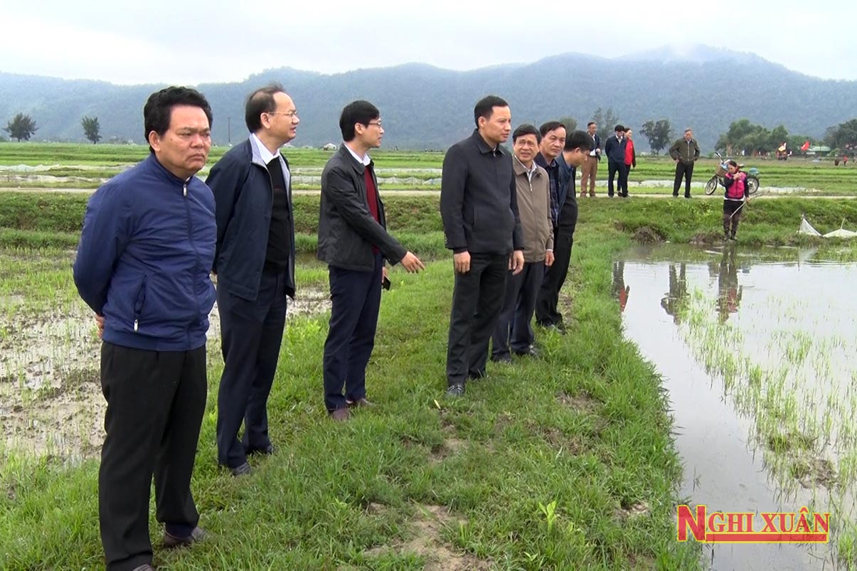 Bí thư Huyện ủy Phan Tấn Linh kiểm tra tình hình sản xuất tại các địa phương