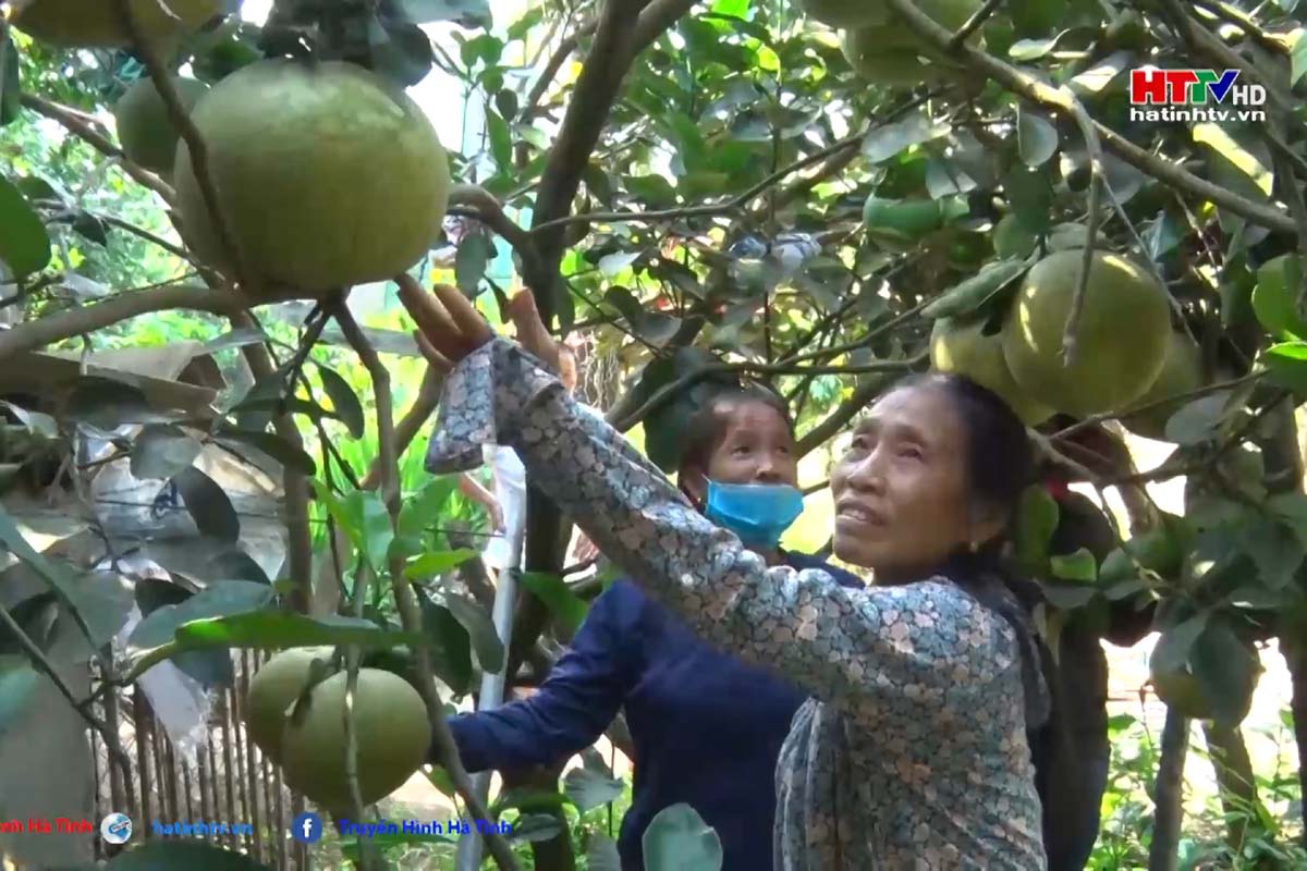 Nữ trưởng thôn năng nổ, nhiệt huyết