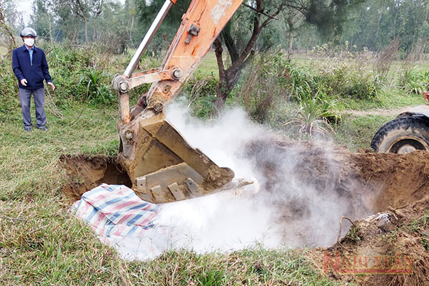 Xuất hiện dịch tả lợn châu Phi, Nghi Xuân khẩn trương khoanh vùng khống chế