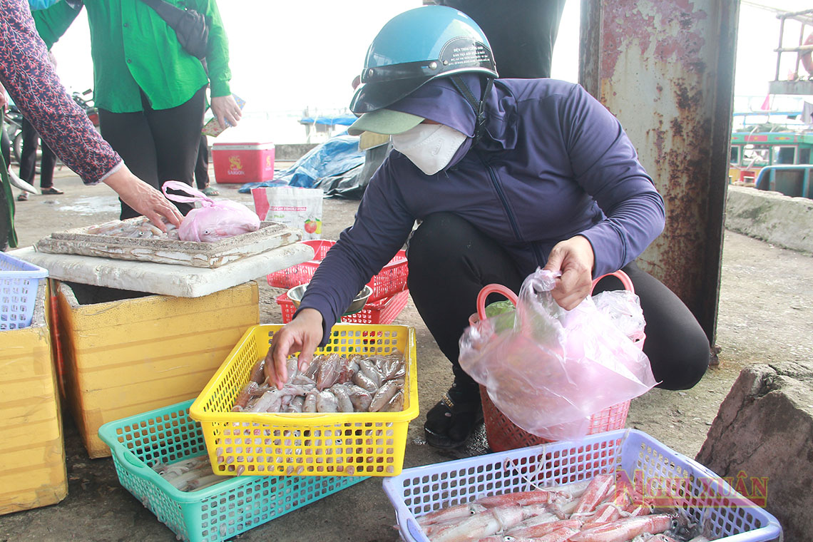 Trúng mực ống, ngư dân Xuân Hội tích cực vươn khơi bám biển