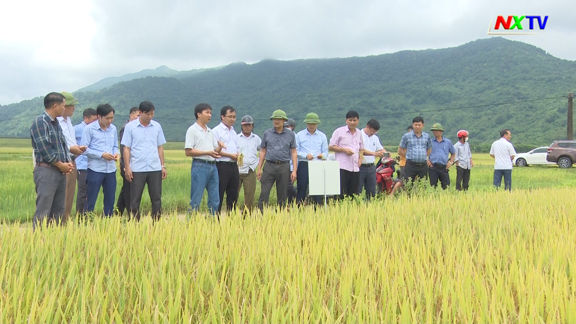 Nghi Xuân tổ chức hội thảo, đánh giá năng suất các giống thử nghiệm mới