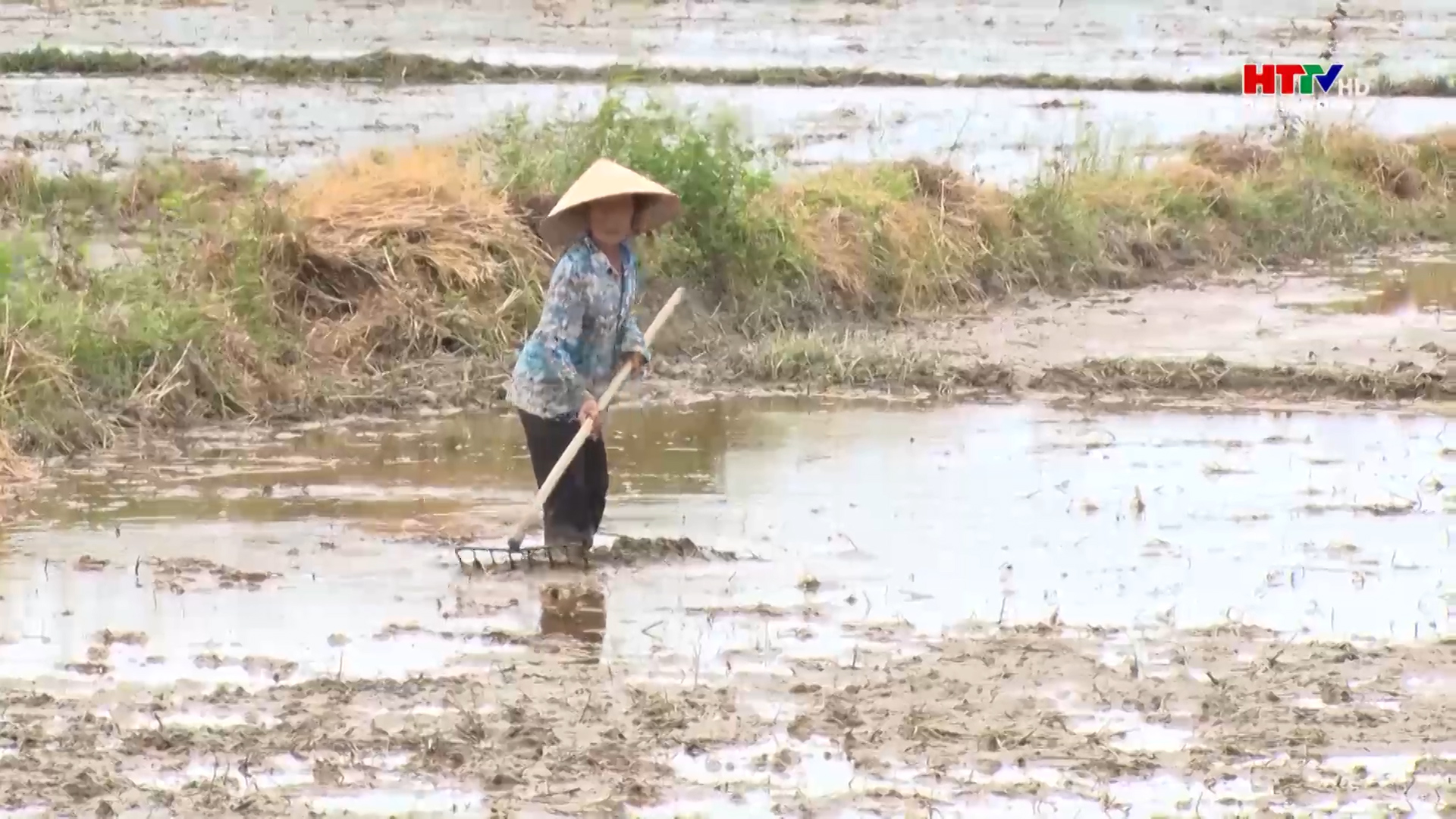 Nghi Xuân đẩy nhanh tiến độ sản xuất vụ hè thu