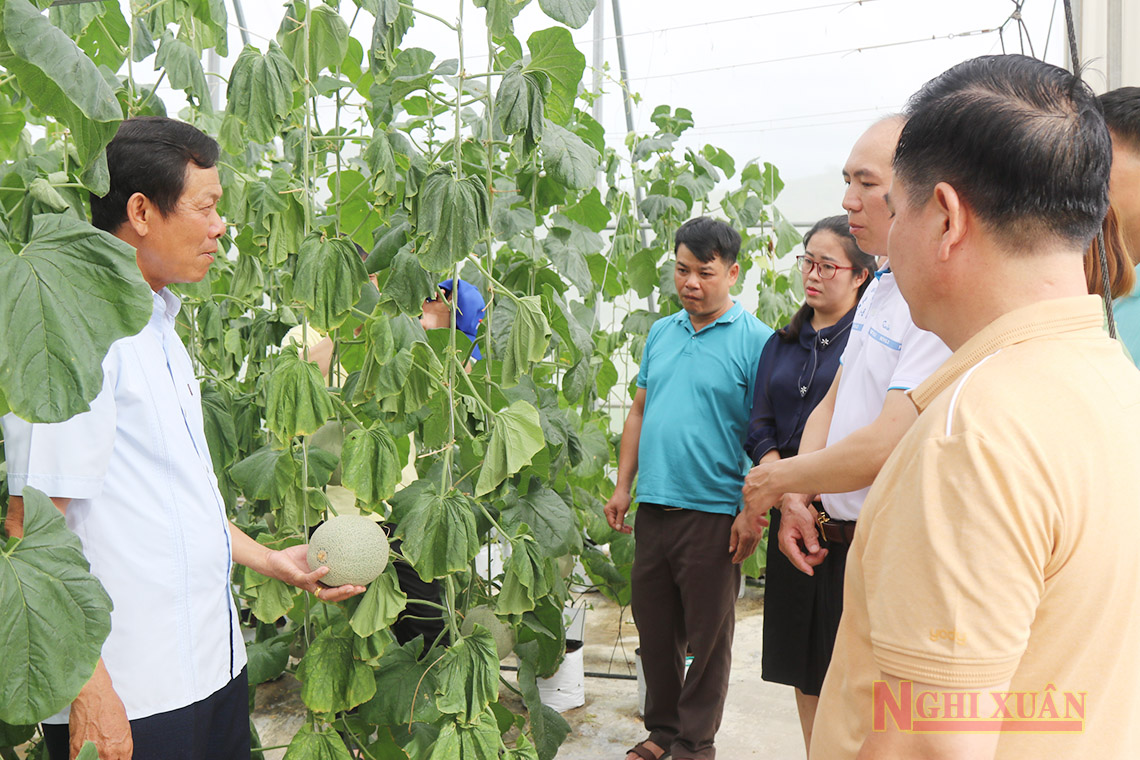 Huyện Mèo Vạc (Hà Giang) trao đổi, học tập kinh nghiệm xây dựng NTM tại Nghi Xuân