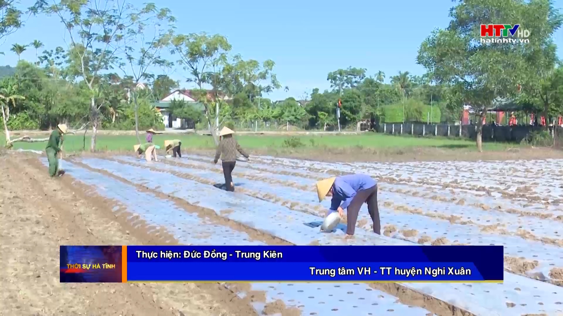 Nông dân Nghi Xuân gieo trỉa lạc thu đông