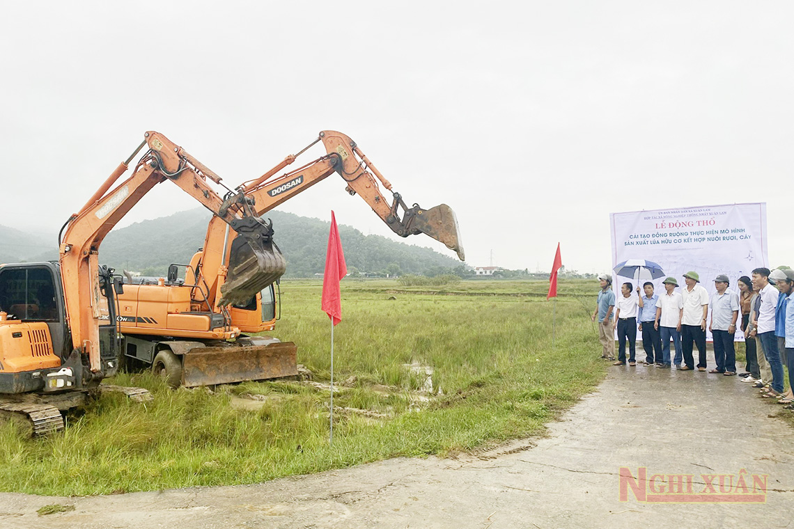 Xuân Lam ra quân cải tạo đồng ruộng thực hiện mô hình trồng lúa hữu cơ kết hợp nuôi rươi, cáy