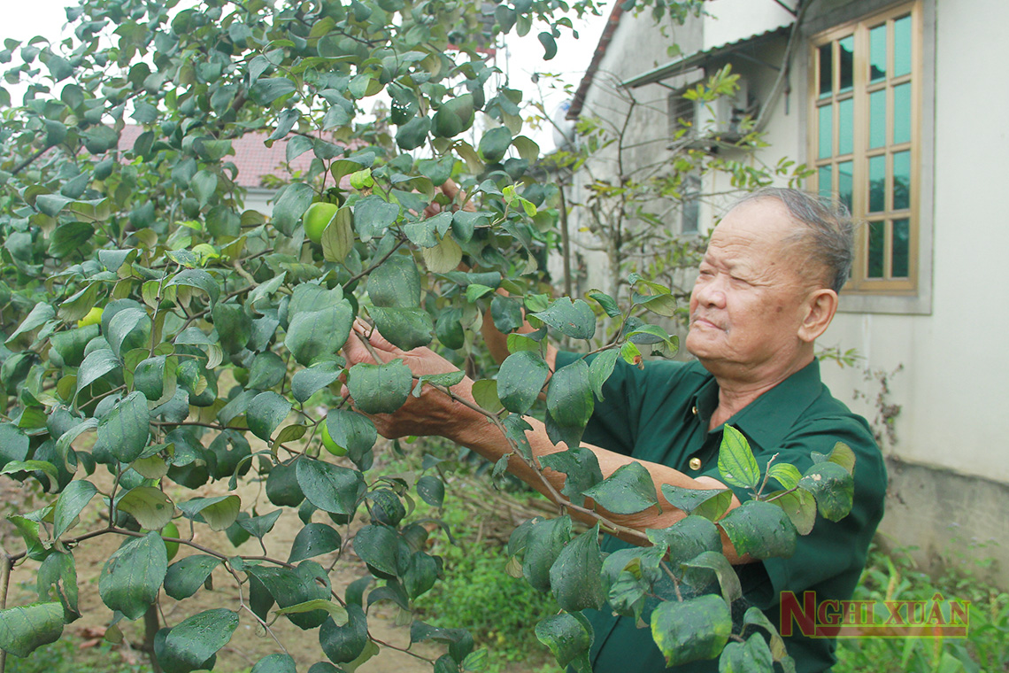 Người thương binh điển hình trong xây dựng vườn mẫu