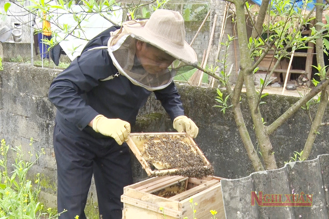 Nuôi ong lấy mật, người dân Xuân Lam thu về cả trăm triệu đồng