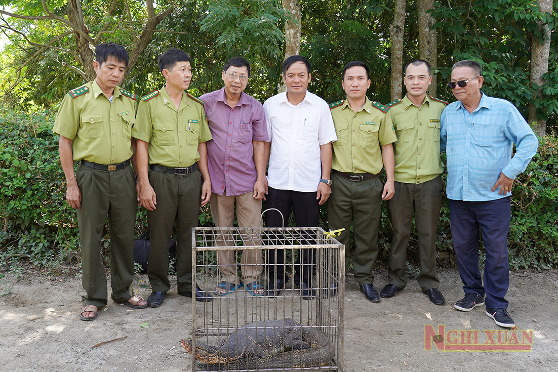 Người dân Nghi Xuân bàn giao cá thể kỳ đà nặng hơn 15kg cho cơ quan chức năng